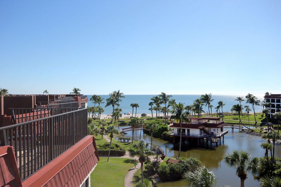 Roof Deck View