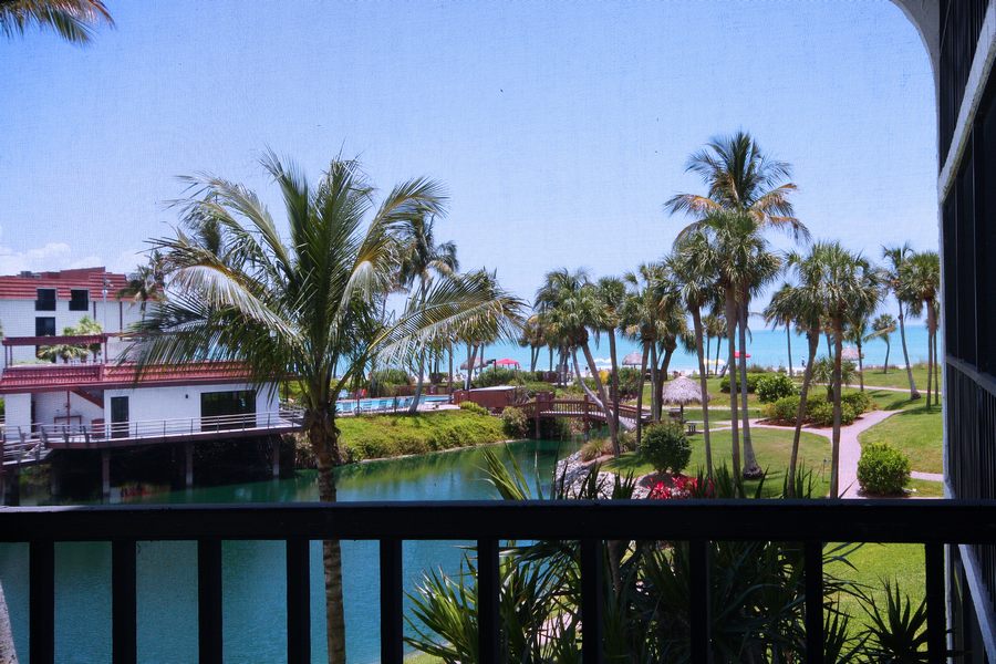 View from Unit