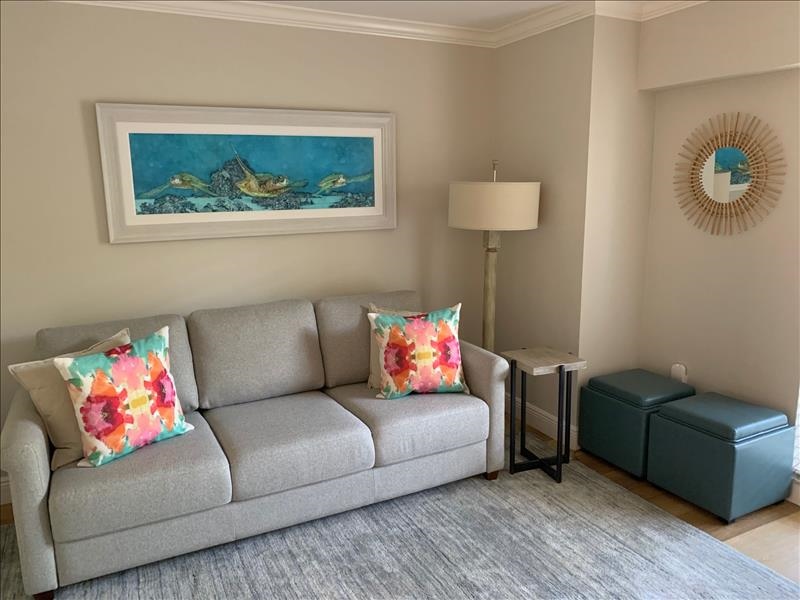 DEN WITH SLEEPER SOFA