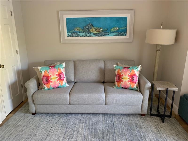 DEN WITH SLEEPER SOFA