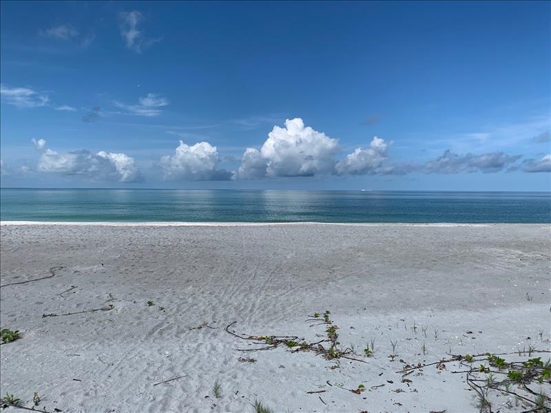 PARADISE