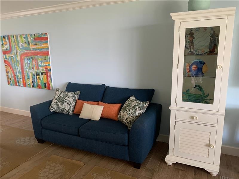 SLEEPER SOFA IN LIVING AREA