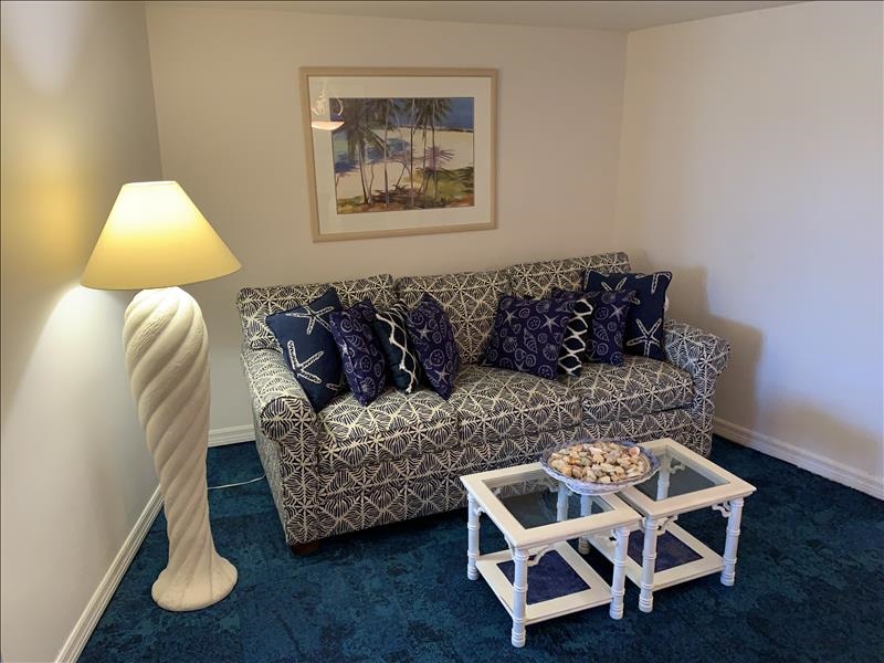 DEN/SITTING AREA
