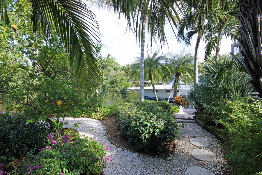 Side Yard