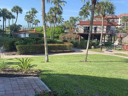 VIEW FROM LANAI