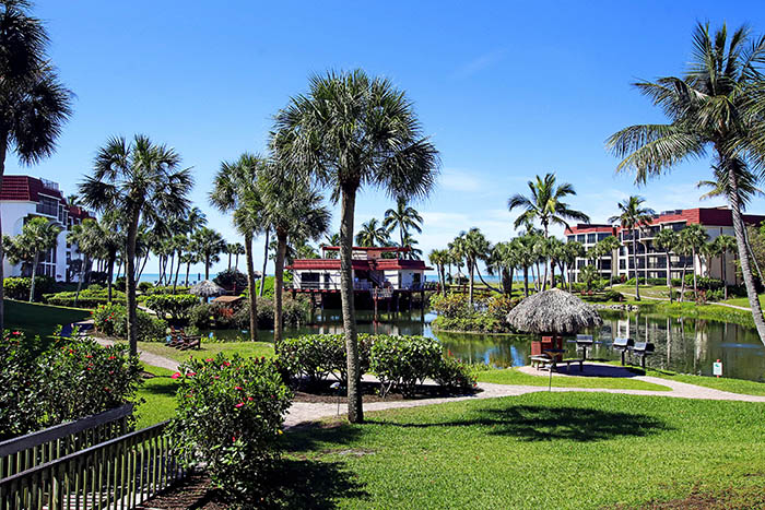 View from Lanai b