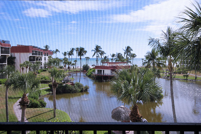 VIEW FROM UNIT