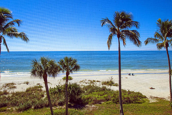 VIEW FROM UNIT