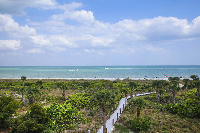 VIEW FROM UNIT
