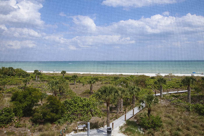 VIEW FROM UNIT